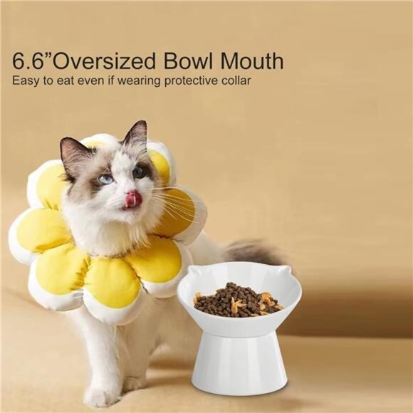 Detachable Elevated Cat Bowls, 15 Tilted Raised Food Bowl Anti-Vomiting - Picture 3 of 7